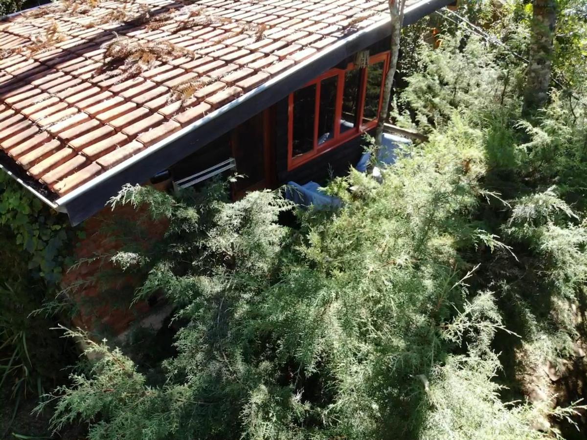 Chales Fora De Estrada Campos do Jordão Εξωτερικό φωτογραφία